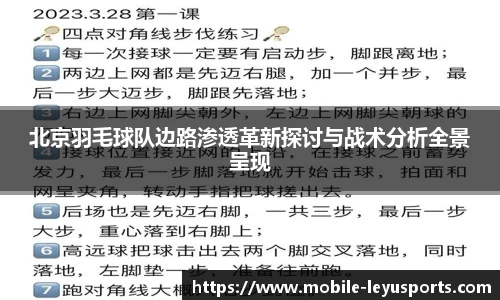 北京羽毛球队边路渗透革新探讨与战术分析全景呈现